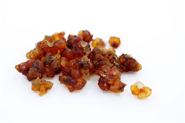 桃樹膠的價格多少錢一斤