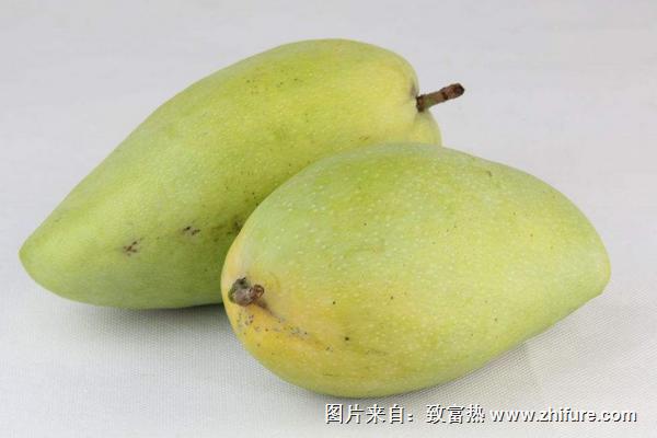 青芒果和芒果的區(qū)別是什么