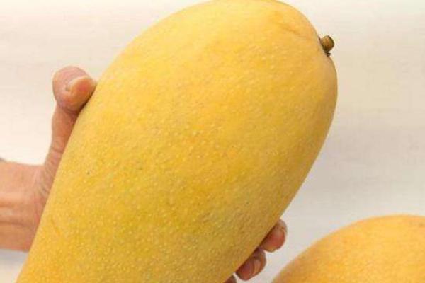 青芒果和芒果的區(qū)別是什么