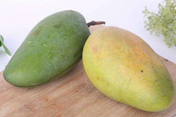 青芒果和芒果的區(qū)別是什么