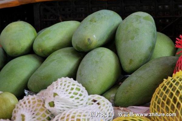 孕婦可以吃青芒果嗎