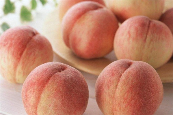 桃子產(chǎn)地在哪里