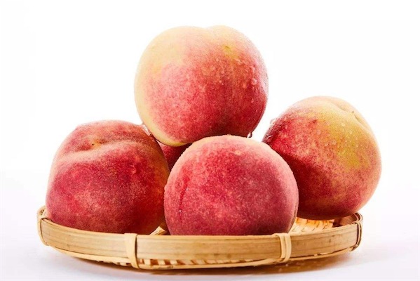 桃子產(chǎn)地在哪里