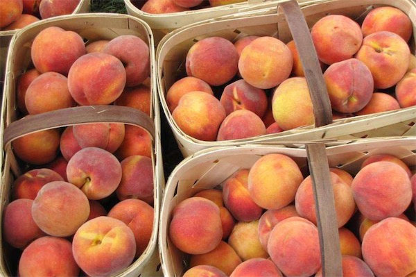 桃子可以放冰箱嗎