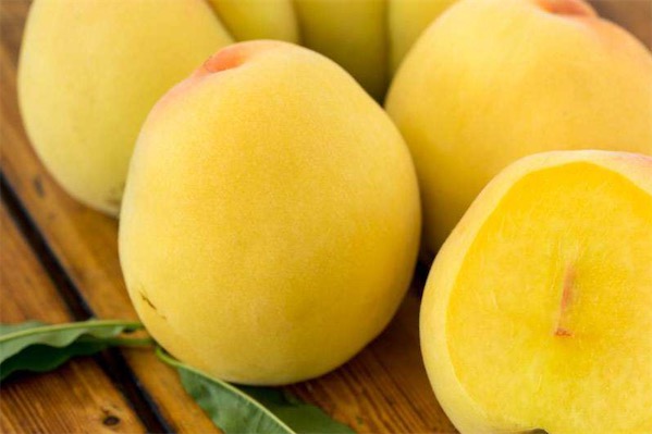 晚熟桃樹新品種有哪些