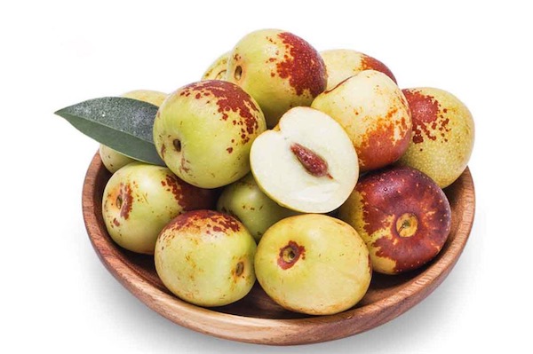 冬棗樹苗價格多少錢一棵