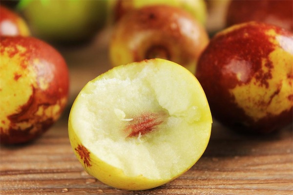 冬棗樹苗價格多少錢一棵