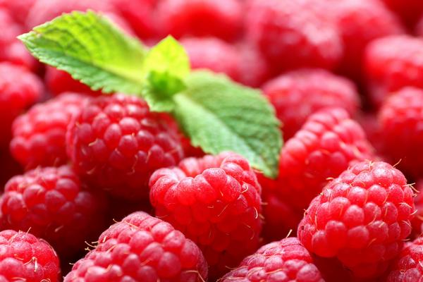 2018種樹莓賺錢嗎？樹莓種植的利潤與投資成本及前景預(yù)測