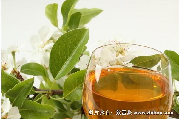 酸木瓜泡酒的功效與作用