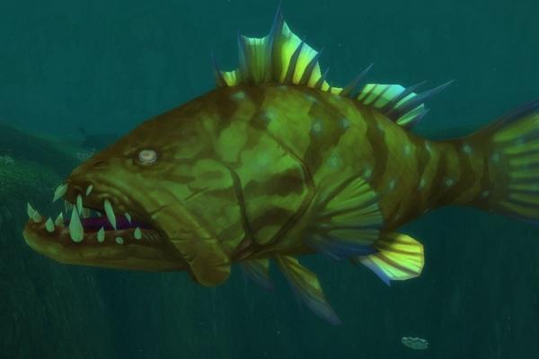 2018養石斑魚賺錢嗎？石斑魚養殖的利潤與投資成本及前景預測