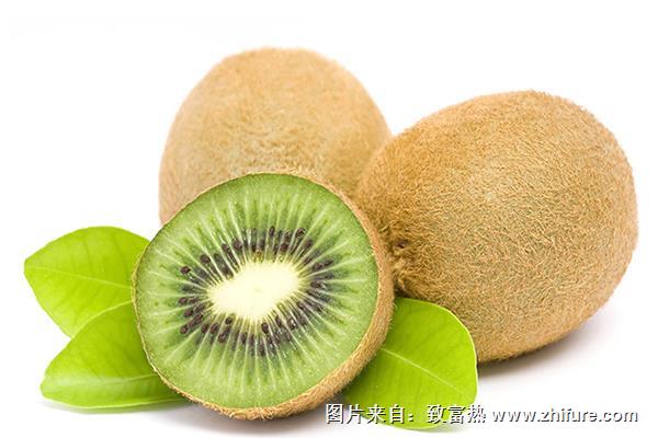 國(guó)產(chǎn)獼猴桃和進(jìn)口獼猴桃的區(qū)別是什么