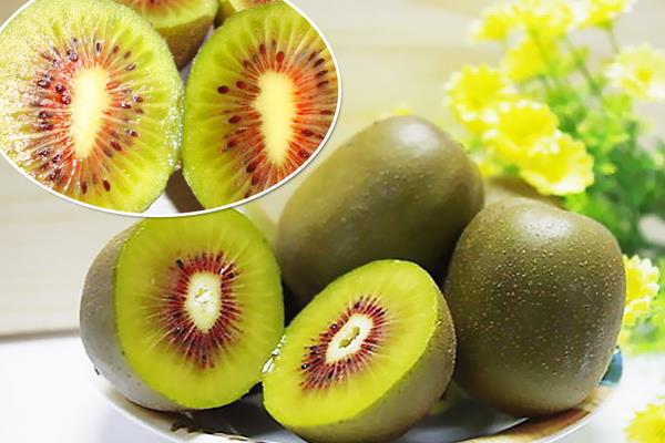 紅心獼猴桃和普通獼猴桃的區(qū)別是什么
