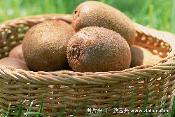 獼猴桃含什么維生素