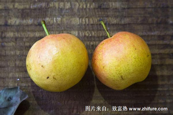 南果梨圖片大全