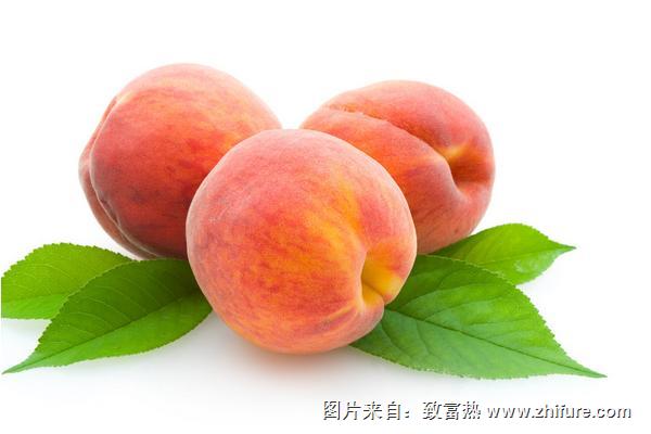 桃子圖片大全