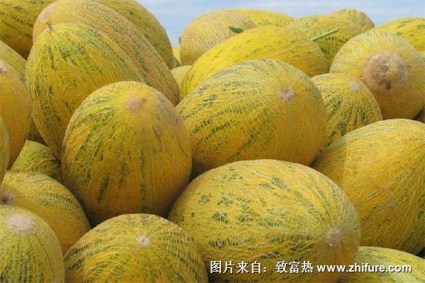 哈密瓜吃多了會怎樣