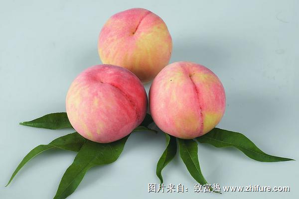 桃子是涼性還是熱性