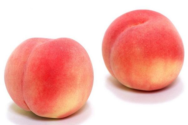 桃子是涼性還是熱性