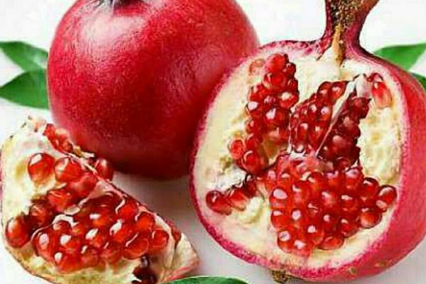 軟籽石榴的功效與作用及禁忌