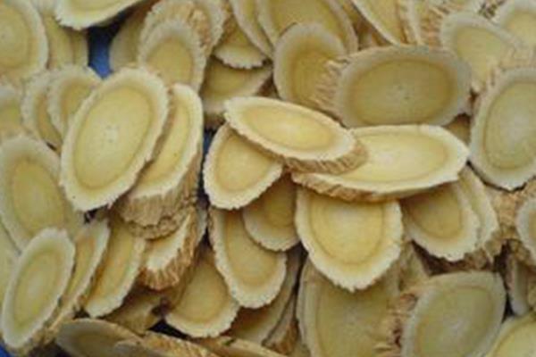 種黃芪開出致富花