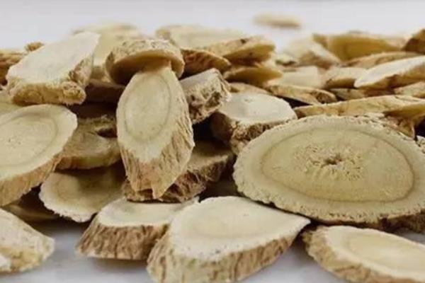 種黃芪開出致富花