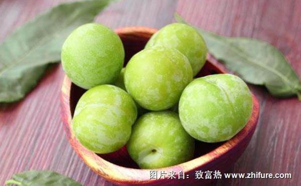 李子價格多少錢一斤