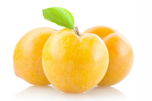 李子價格多少錢一斤