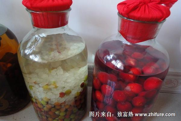 李子泡酒的功效與作用及禁忌