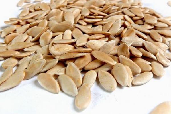 哈密瓜種子可以吃嗎