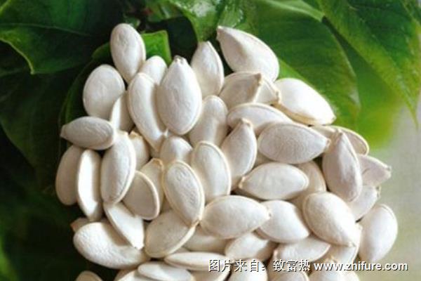 哈密瓜種子可以吃嗎