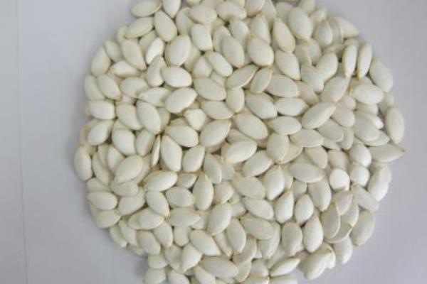 哈密瓜種子可以吃嗎