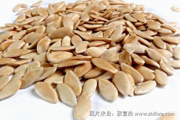 哈密瓜種子怎么種