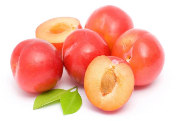 李子價格多少錢一斤