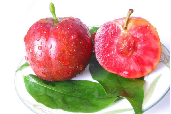 李子價格多少錢一斤