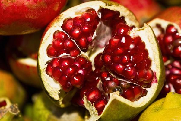 2018種石榴賺錢嗎?石榴種植的利潤與投資成本及前景預測