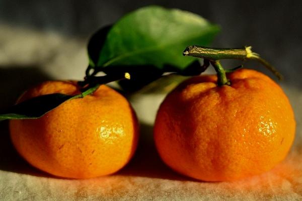 2018種柑橘賺錢嗎？柑橘種植的利潤與投資成本及前景預測