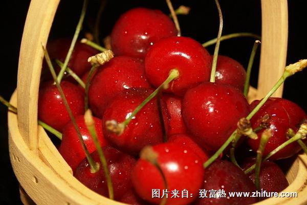 2018種櫻桃賺錢嗎？櫻桃種植的利潤與投資成本及前景預測