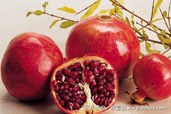 2018種石榴賺錢嗎？石榴種植的利潤與投資成本及前景預(yù)測