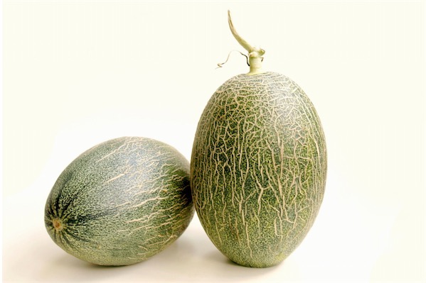 哈密瓜是哪里的特產