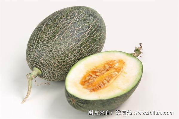 怎么挑選哈密瓜