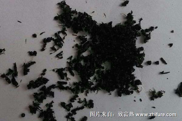 螞蟻干保存方法或加工螞蟻產(chǎn)品