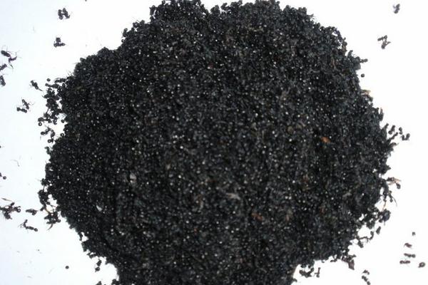 螞蟻干保存方法或加工螞蟻產品