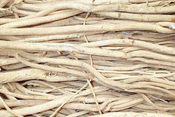 近期市場黃芪走俏將入高價期