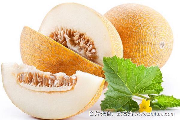 哈密瓜營養價值
