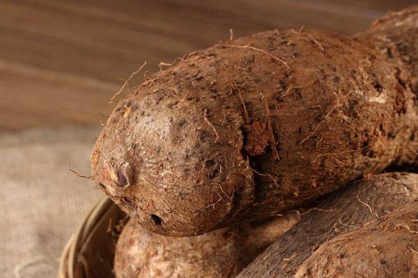 2018種山藥賺錢嗎？山藥種植的利潤與投資成本及前景預測