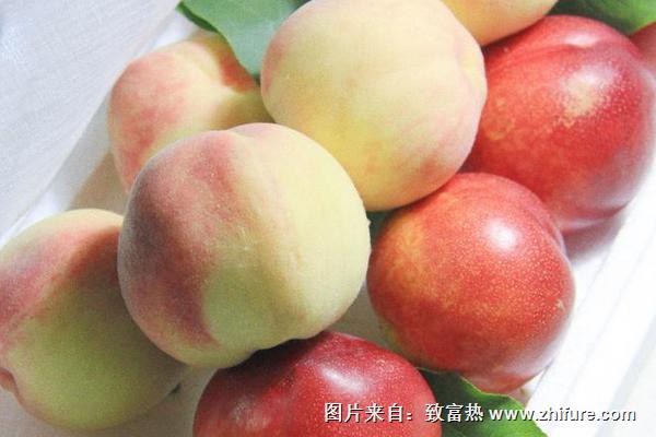 桃子孕婦可以吃嗎