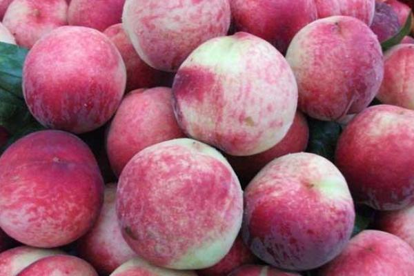 桃子孕婦可以吃嗎