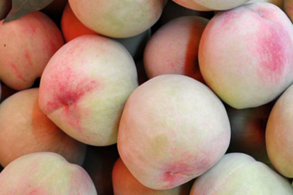 桃子孕婦可以吃嗎