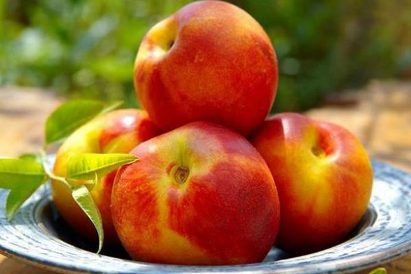 桃子孕婦可以吃嗎