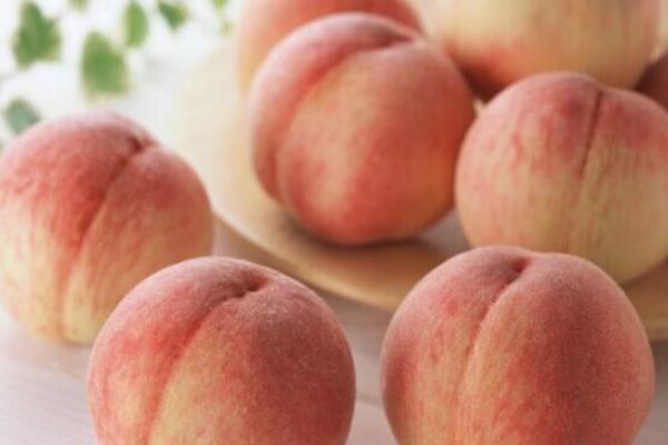 桃子孕婦可以吃嗎